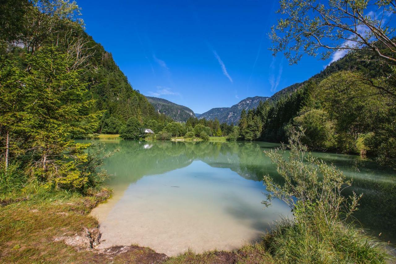Pocitniska Hisa Radovna Villa Zgornja Radovna ภายนอก รูปภาพ