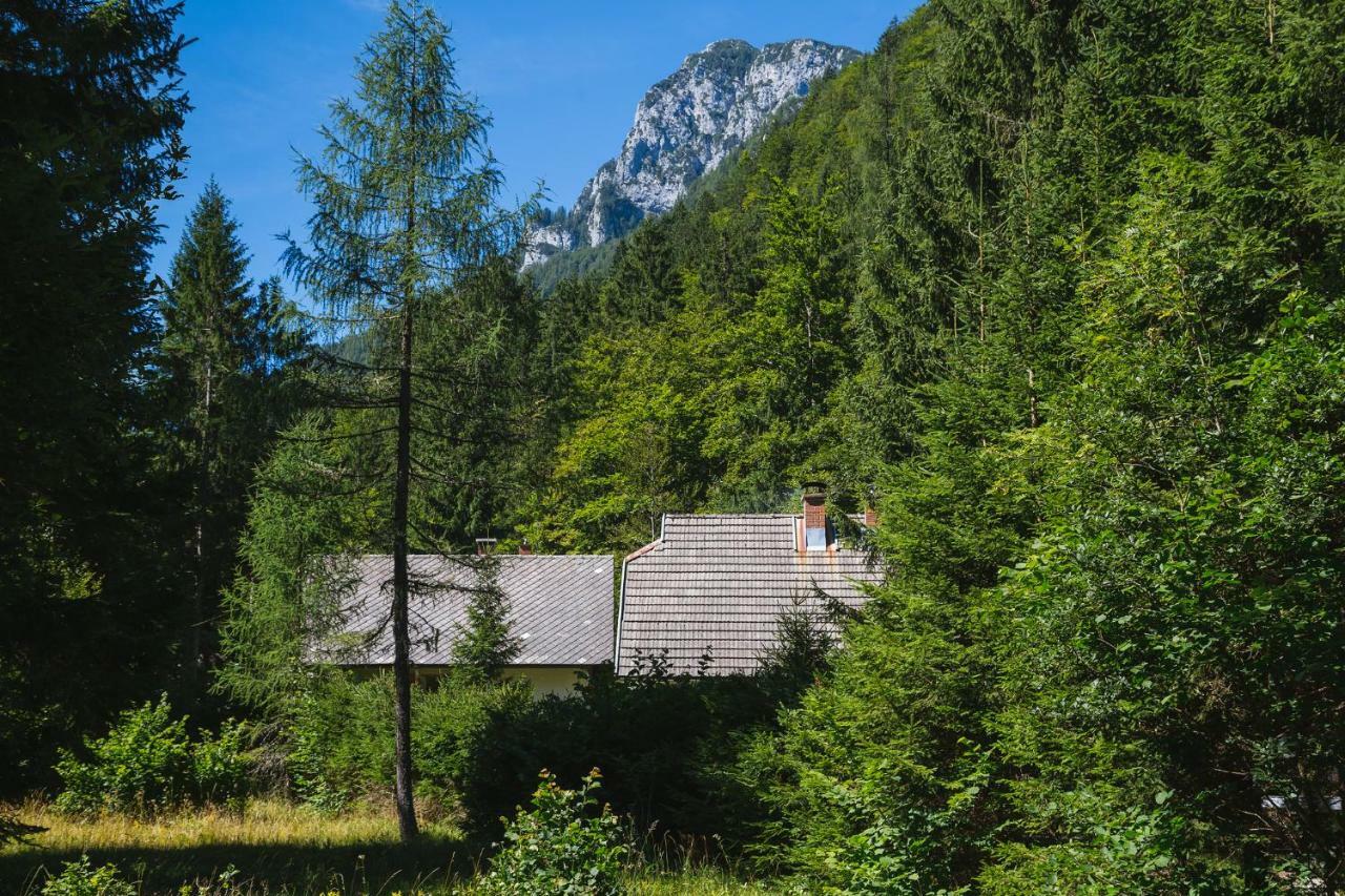 Pocitniska Hisa Radovna Villa Zgornja Radovna ภายนอก รูปภาพ